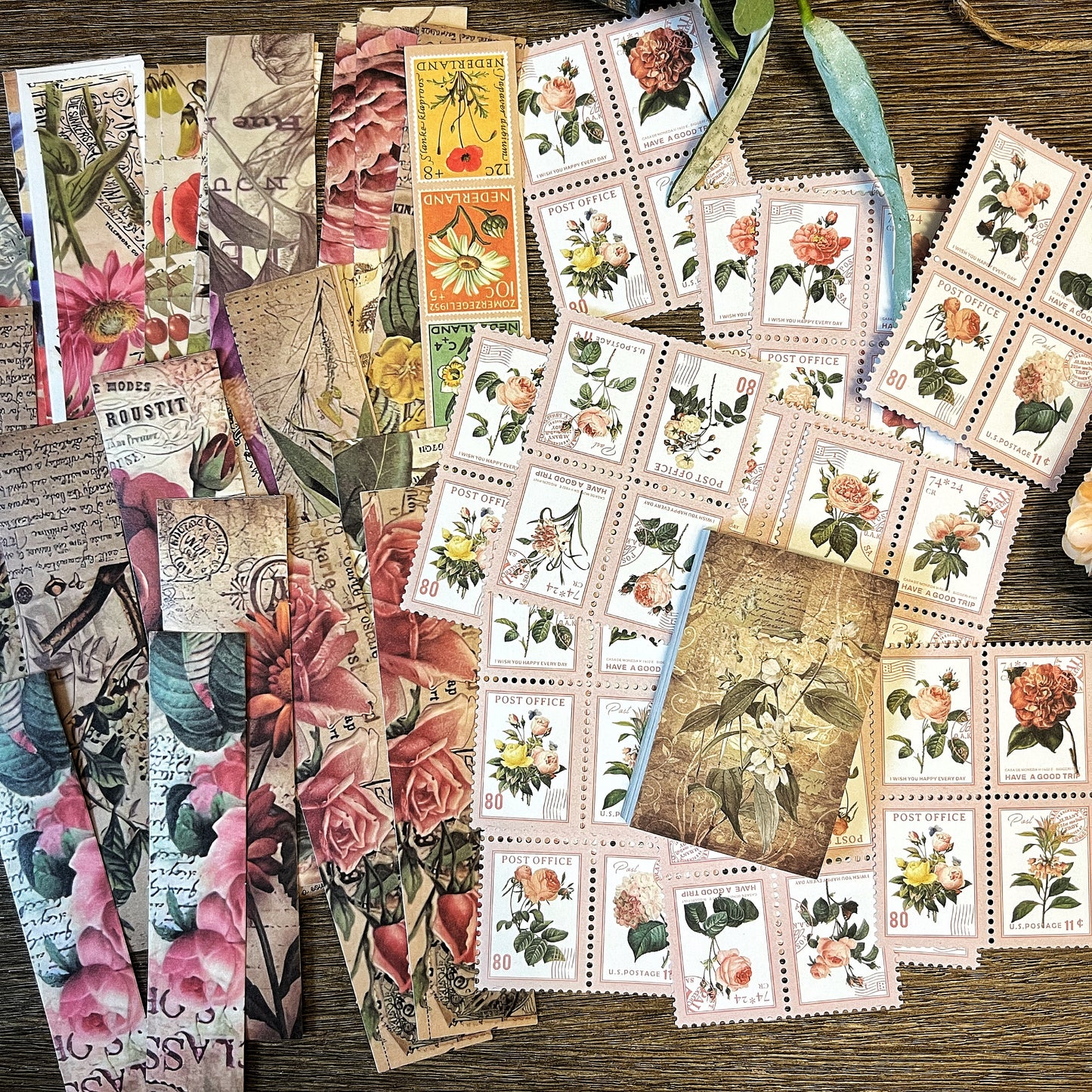 Vintage Tropical themed Collection- DUKZCZPUMA7