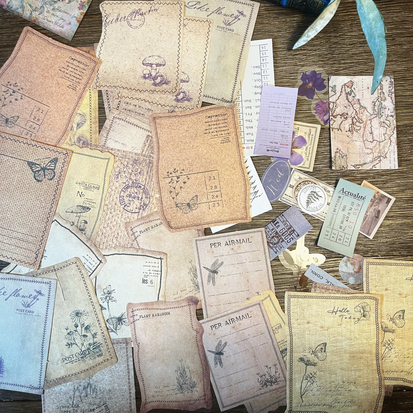 Vintage flower themed Collection -DPKGS2KSNZC