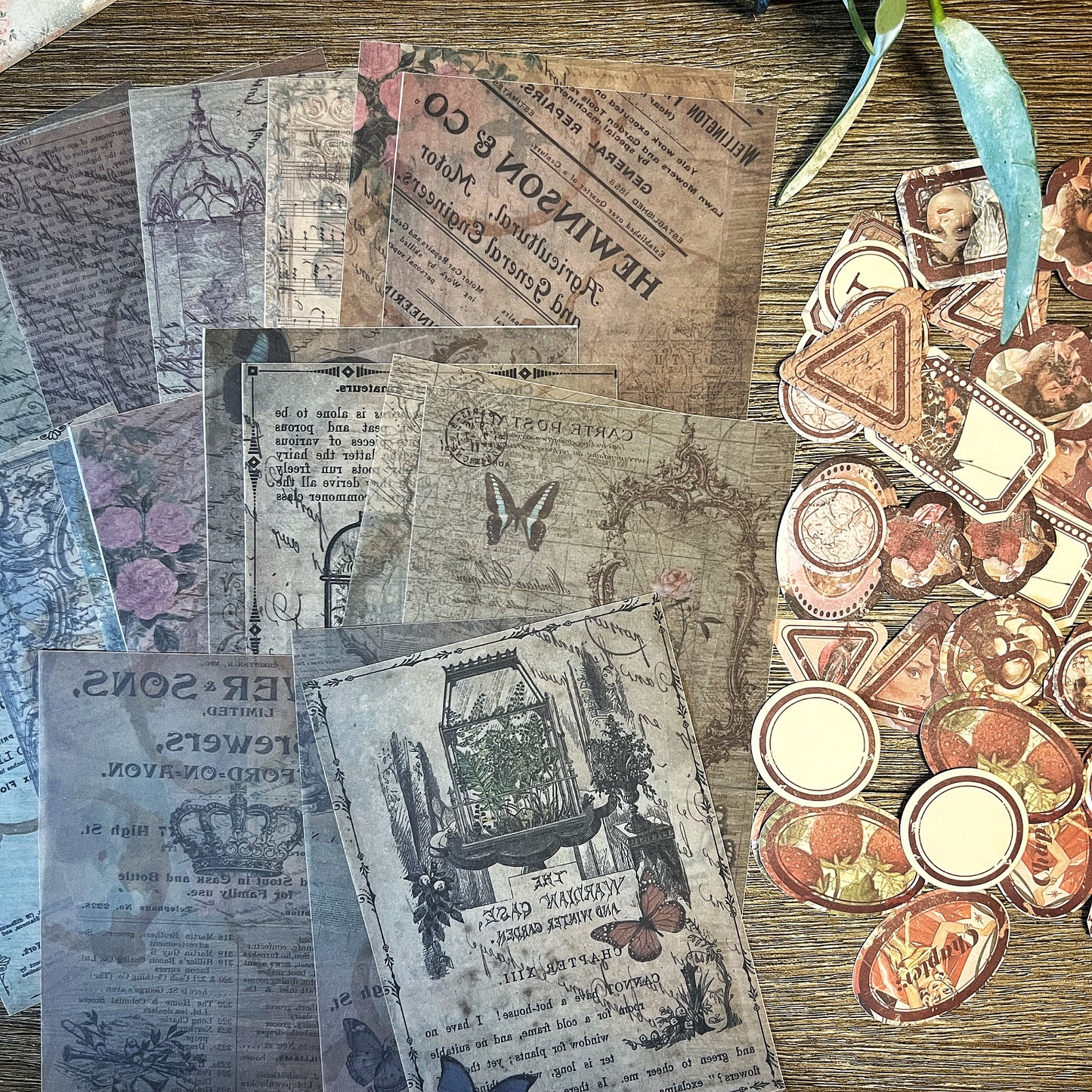 Vintage Tea Garden themed Collection-DNU637CKN5H