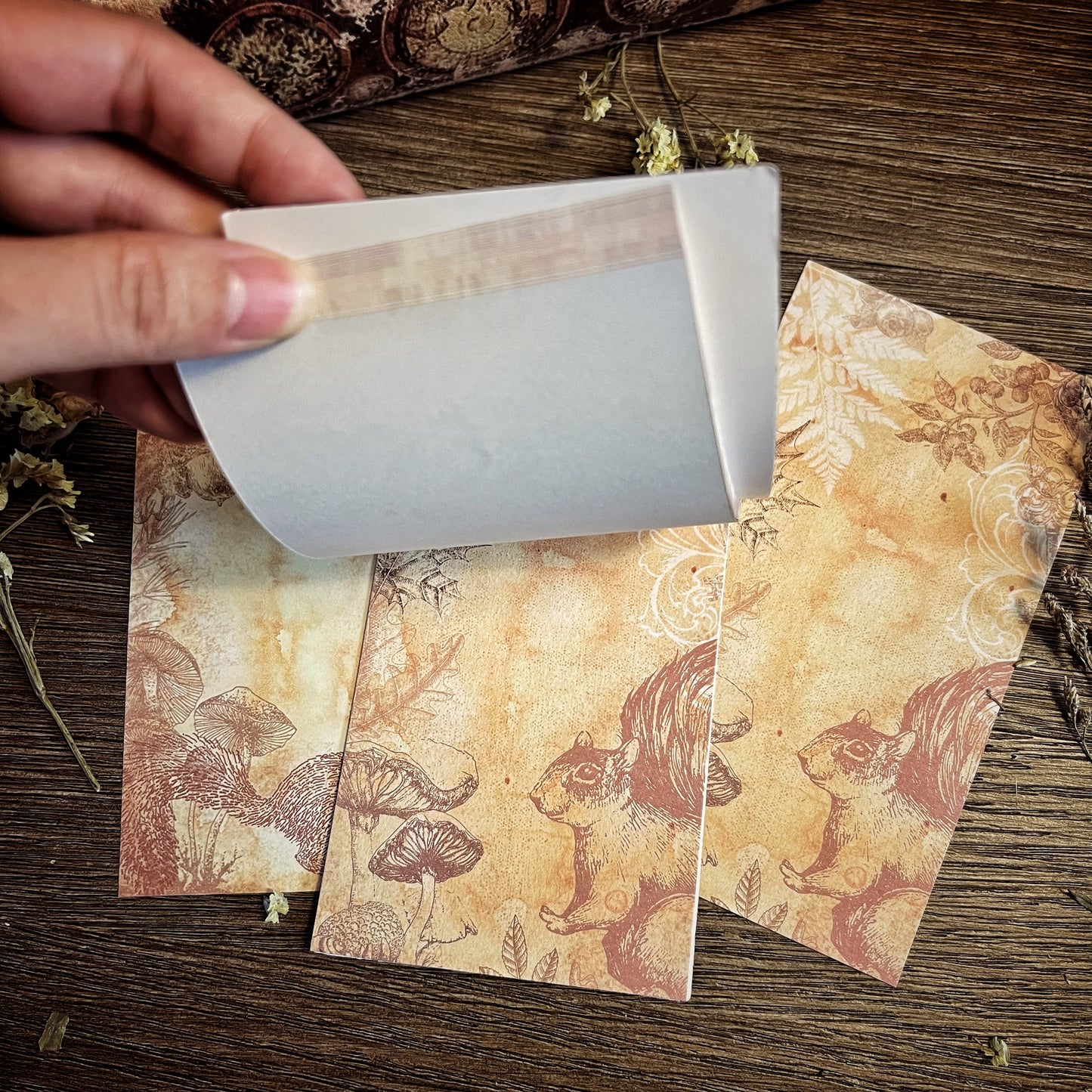 70% OFF Boxing Week-Your Creative Studio Notepad Squirrel NP 0003
