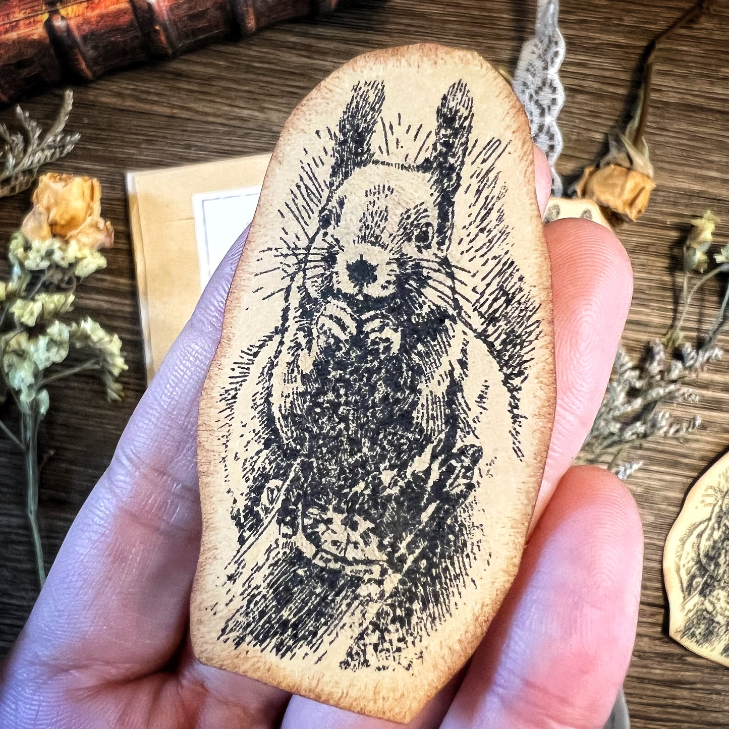 Your Creative Studio Stamp Squirrel CLS 0015