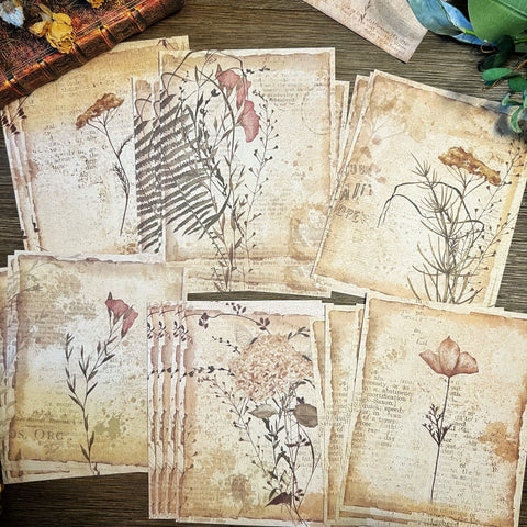 Vintage Wildflower themed Collection-D5JXDYXXMSP