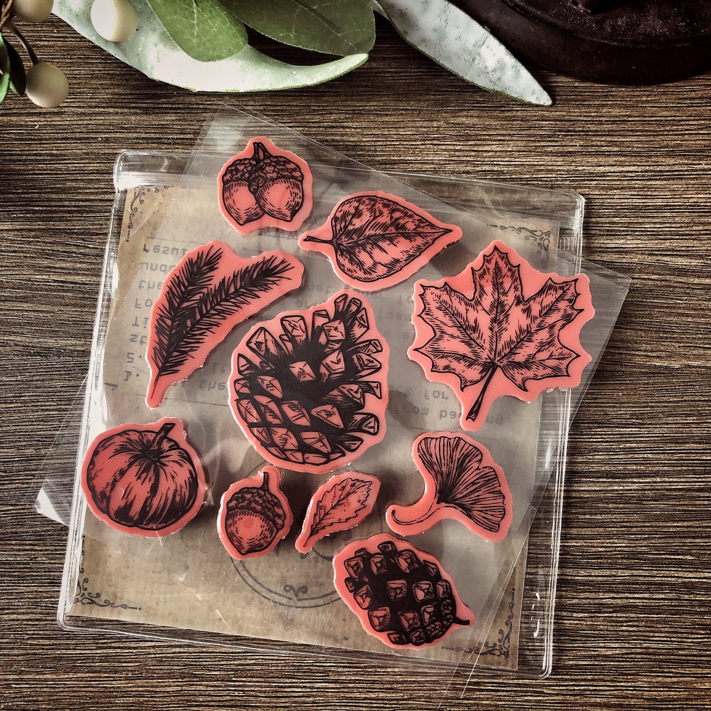 Your Creative Studio Stamp Fall CT 0005