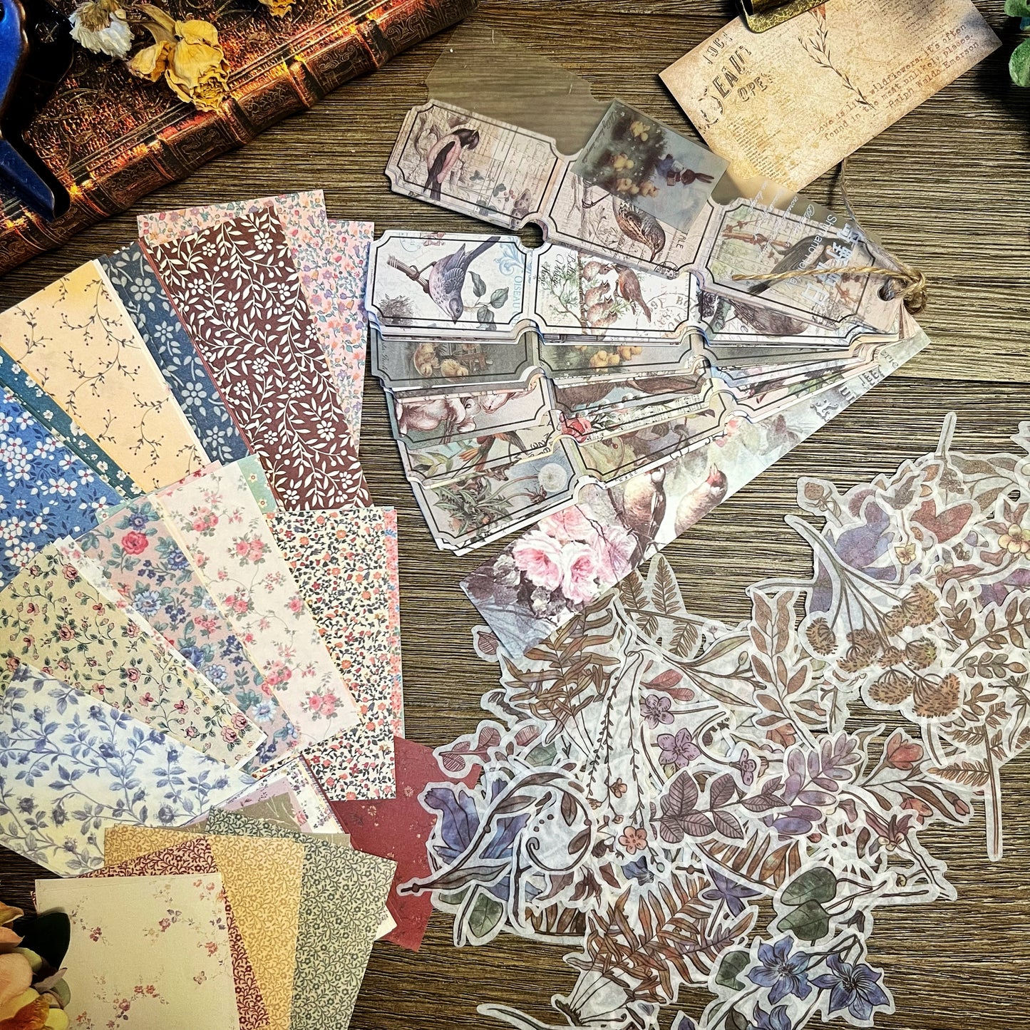 Vintage Wildflower themed Collection-D5JXDYXXMSP