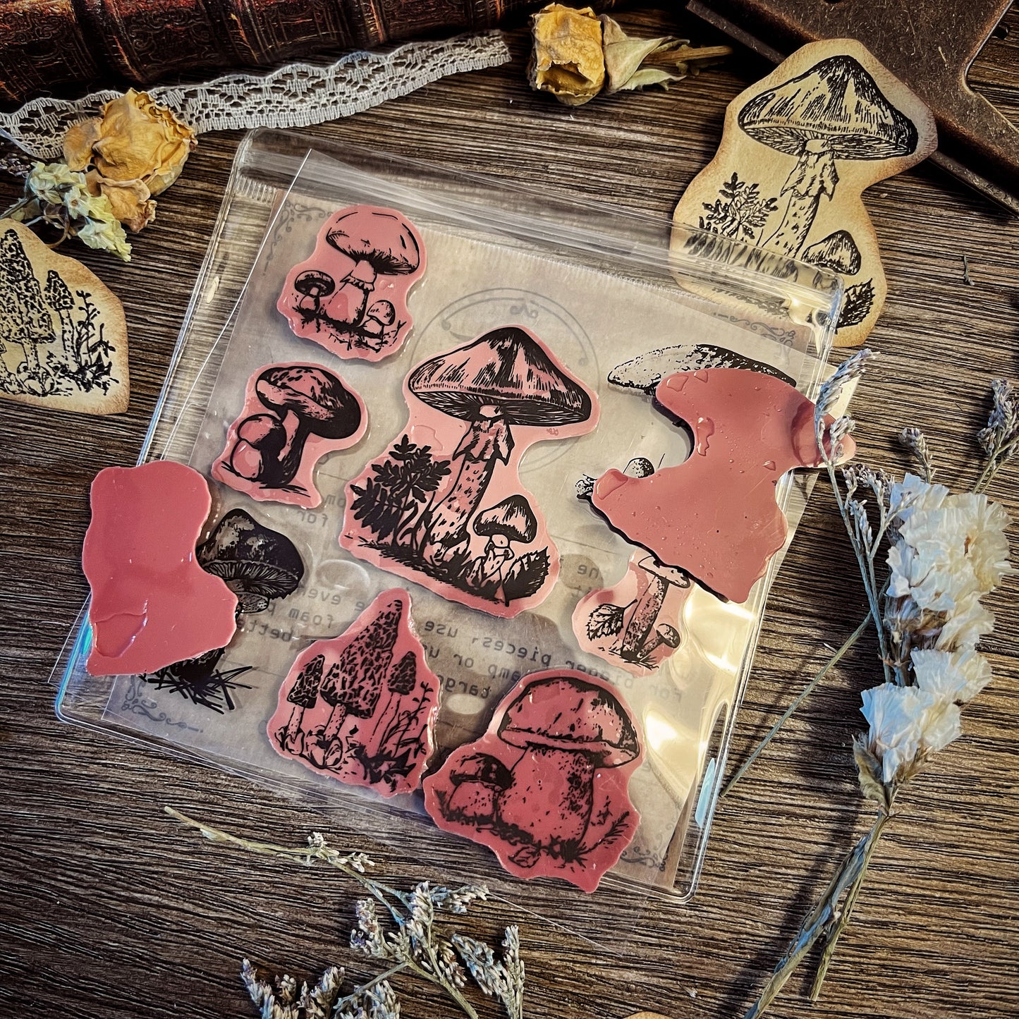 Your Creative Studio Stamp Mushroom CT 0006
