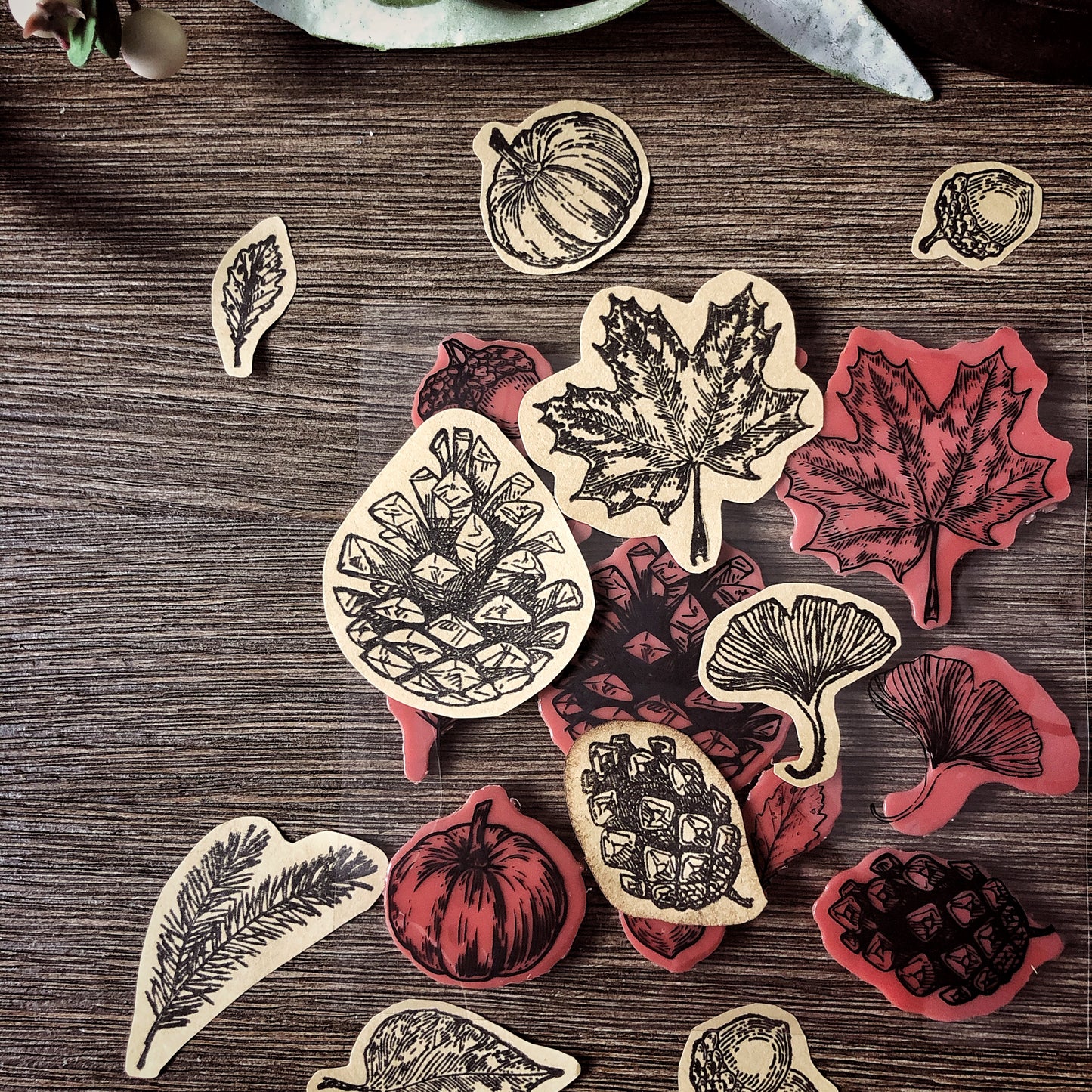 Your Creative Studio Stamp Fall CT 0005