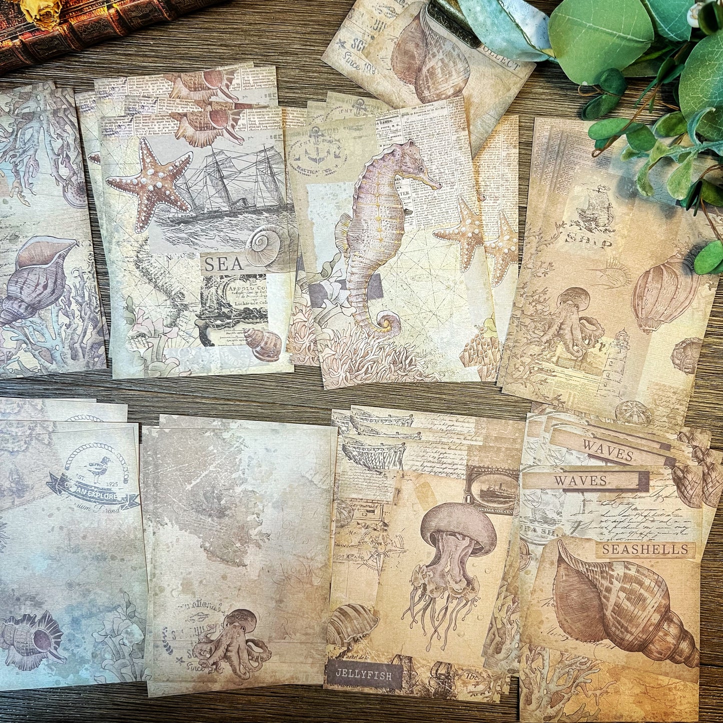 Vintage Shell themed Collection -DVW6QUDLJSP