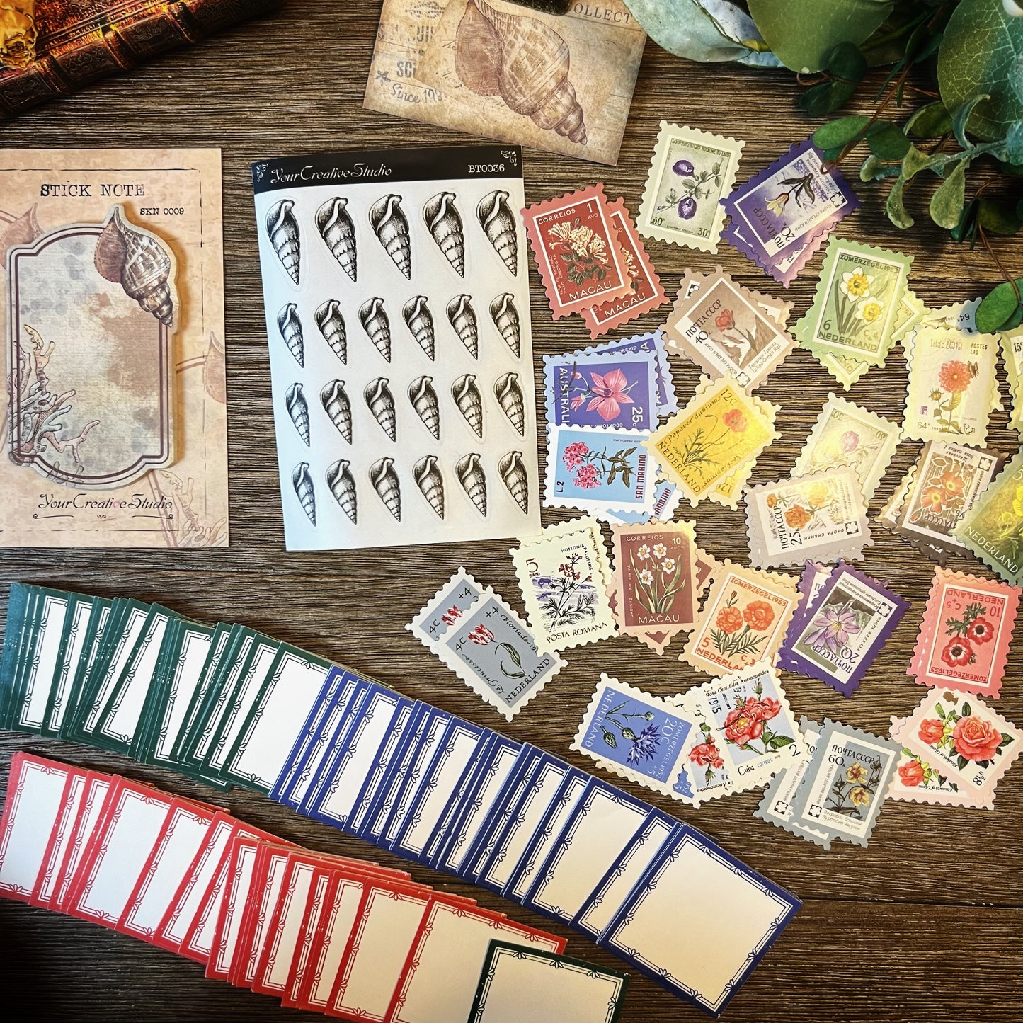 Vintage Shell themed Collection -DVW6QUDLJSP
