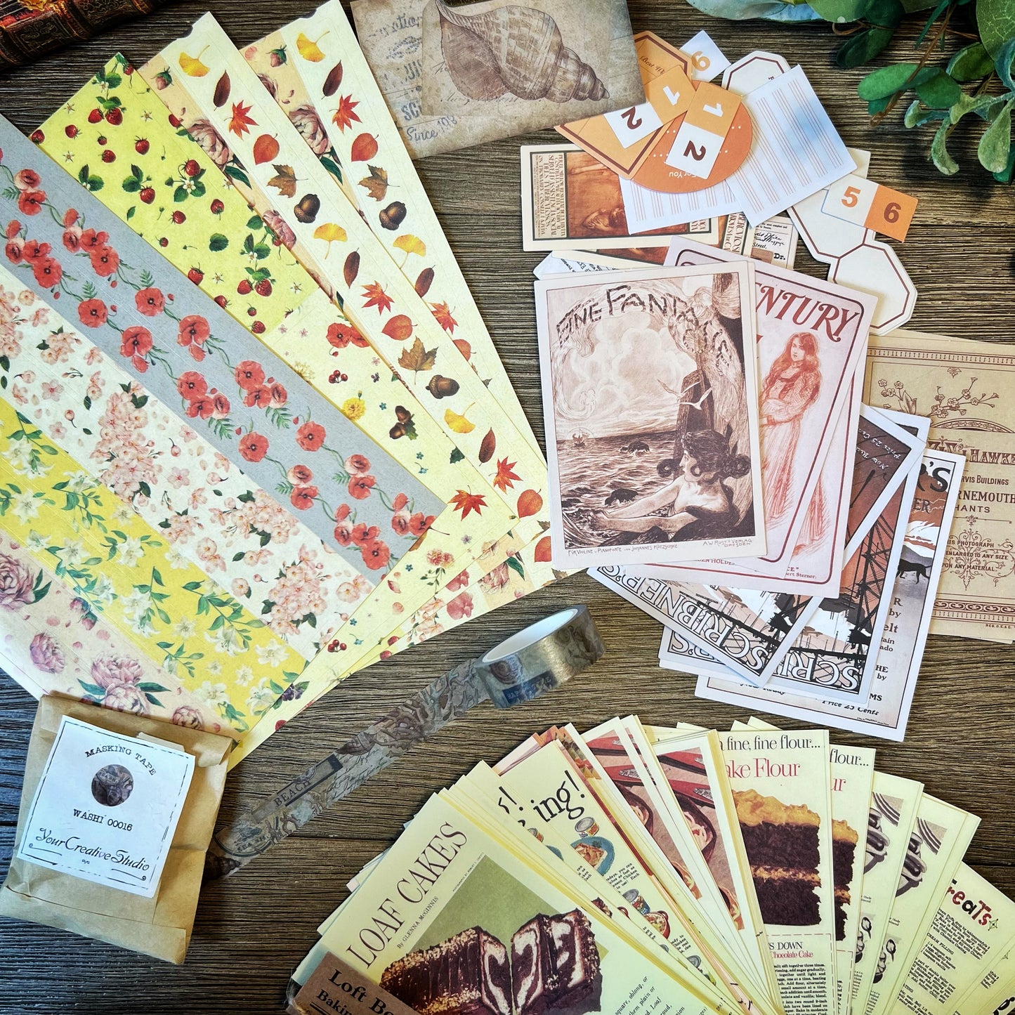 Vintage Shell themed Collection -DVW6QUDLJSP