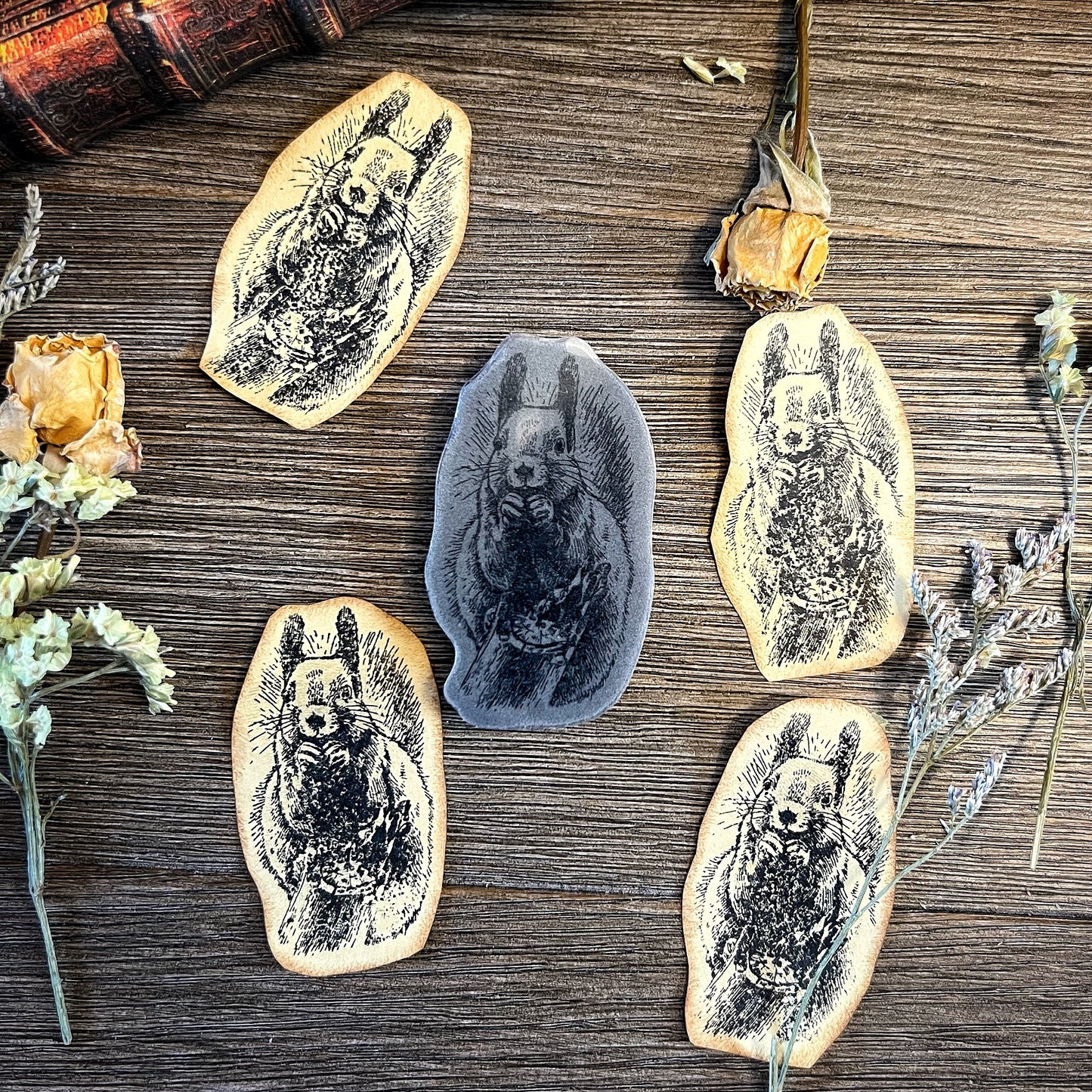 Your Creative Studio Stamp Squirrel CLS 0015