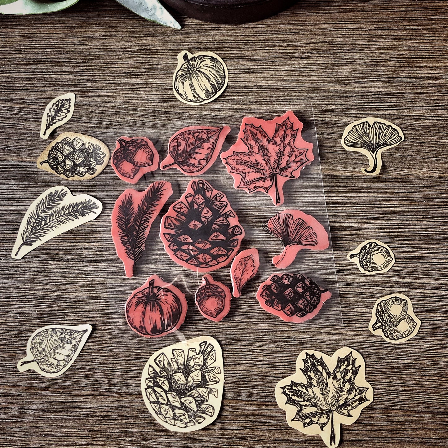 Your Creative Studio Stamp Fall CT 0005