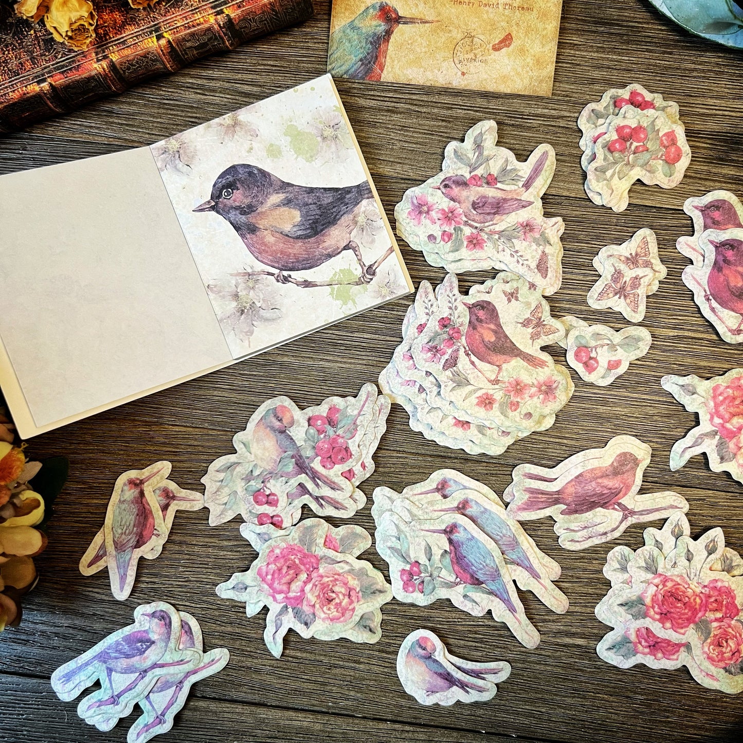 Vintage Bird themed Collection -DVM9P4IB2AF