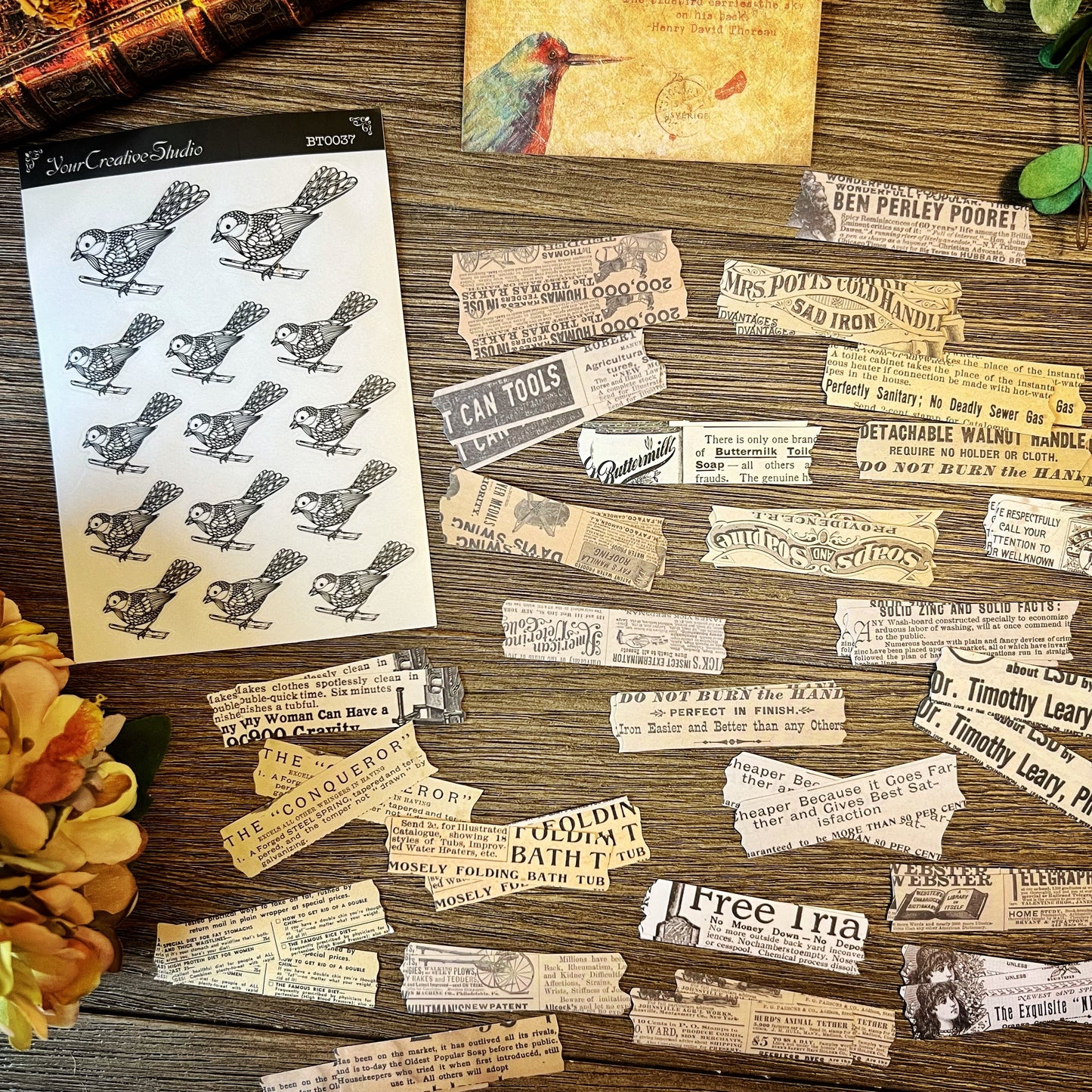 Vintage Bird themed Collection -DVM9P4IB2AF