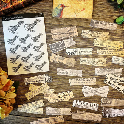 Vintage Bird themed Collection -DVM9P4IB2AF