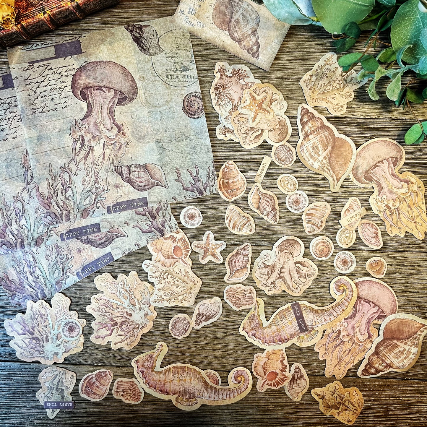 Vintage Shell themed Collection -DVW6QUDLJSP