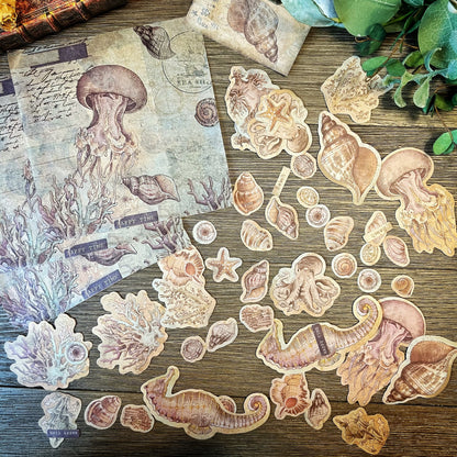 Vintage Shell themed Collection -DVW6QUDLJSP
