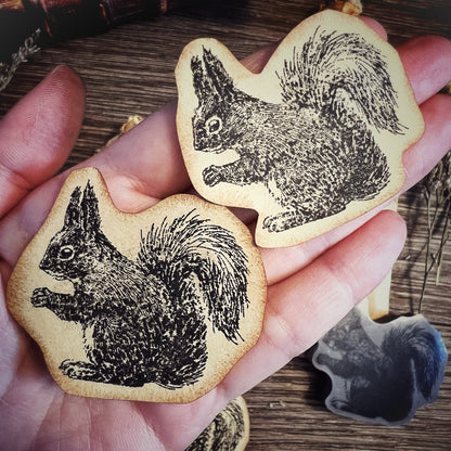 Your Creative Studio Cling Stamp Squirrel Side CLS 0014