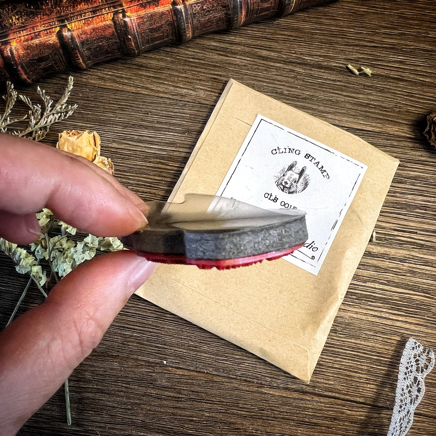 Your Creative Studio Stamp Squirrel CLS 0015