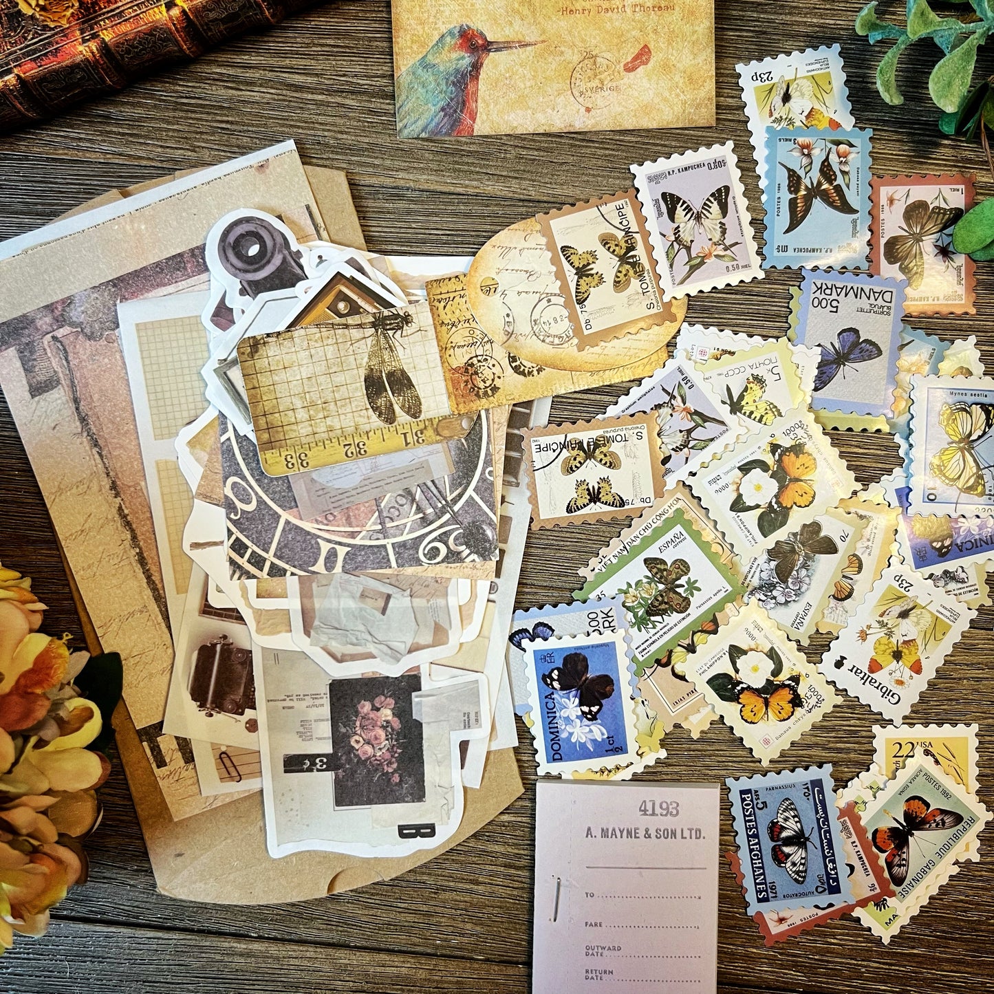 Vintage Bird themed Collection -DVM9P4IB2AF