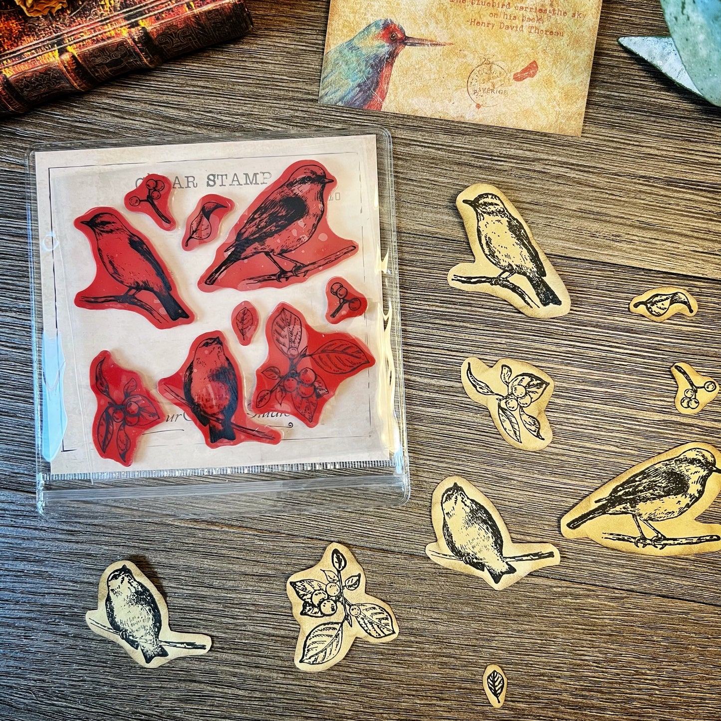 Vintage Bird themed Collection -DVM9P4IB2AF