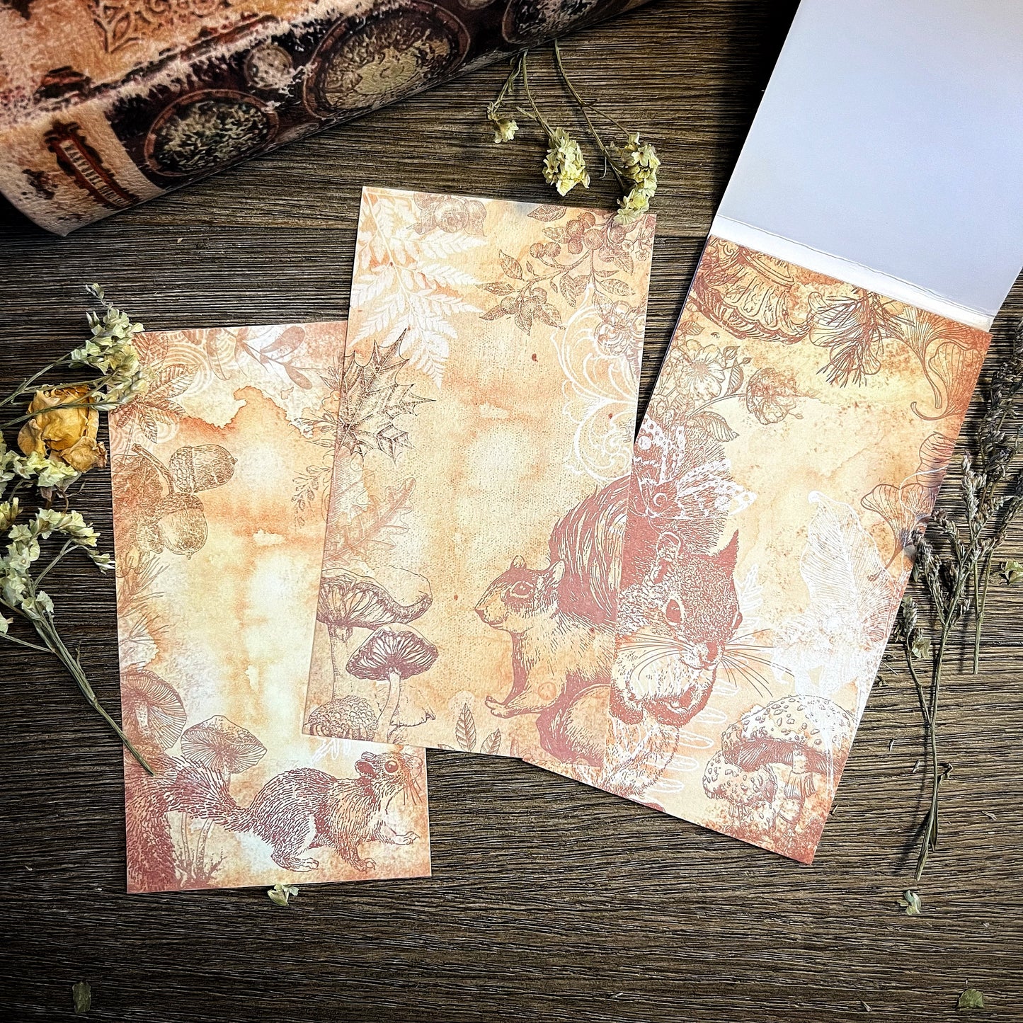 70% OFF Boxing Week-Your Creative Studio Notepad Squirrel NP 0003