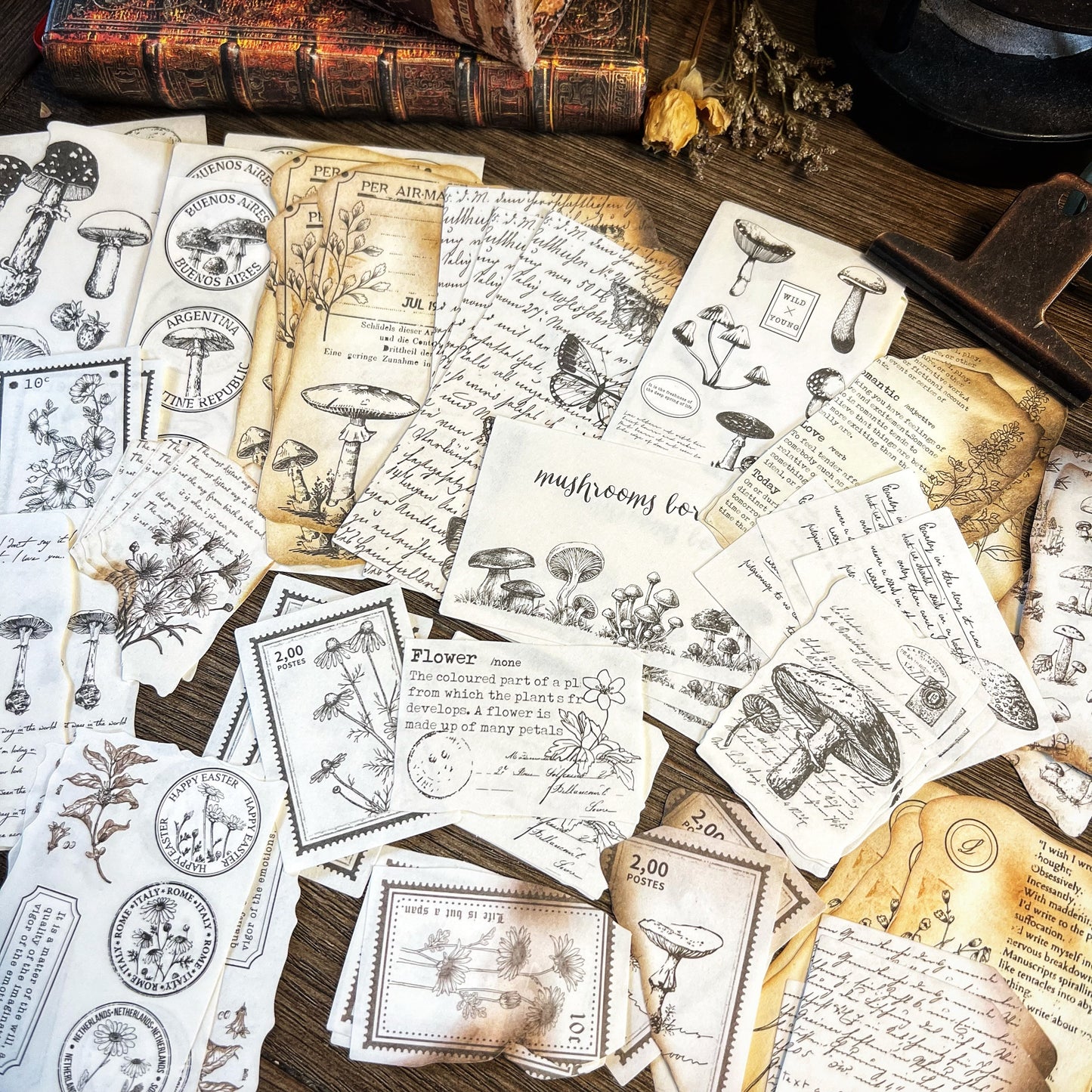 Vintage Fall themed Collection --DWMGT3FPWA4