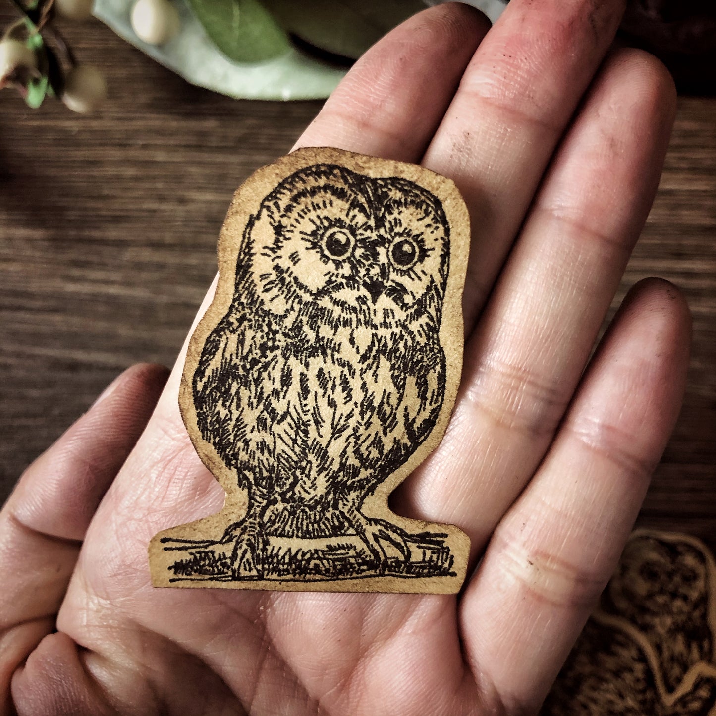 Your Creative Studio Cling Stamp Owl CLS 0001