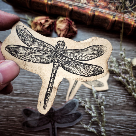 Your Creative Studio Cling Stamp Dragonfly CLS 0010